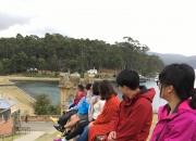 华体会平台-关于塔斯马尼亚联球迷现场助威，球队士气高涨的信息