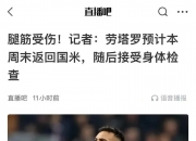 华体会全站-韦勒认为，足协过度信赖纳帅，阿德耶米没有离队的打算的简单介绍