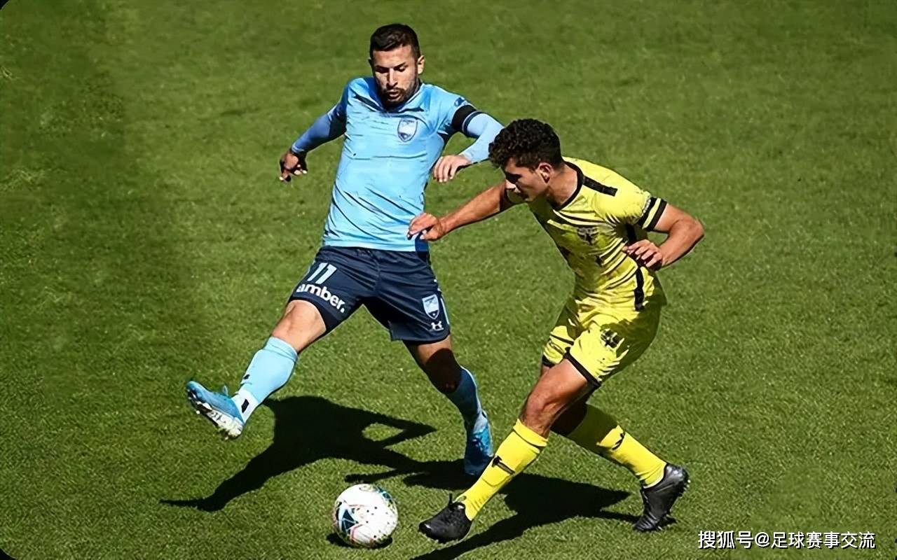 波兰国家队备战挪威，球员表现持续稳定的简单介绍