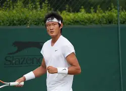 前中国男网一哥张之臻因伤退出温网连续退多站赛事将跌出前的简单介绍