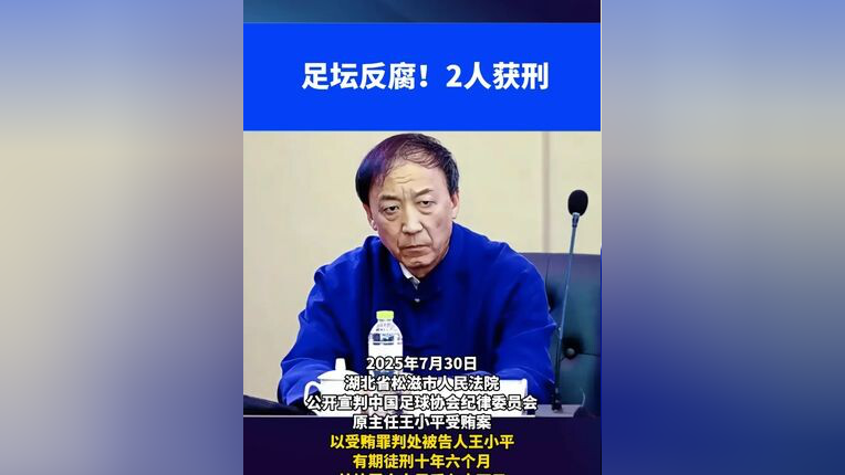 中国足球|足坛反腐案18人全部获刑：陈戌源无期，李铁20年